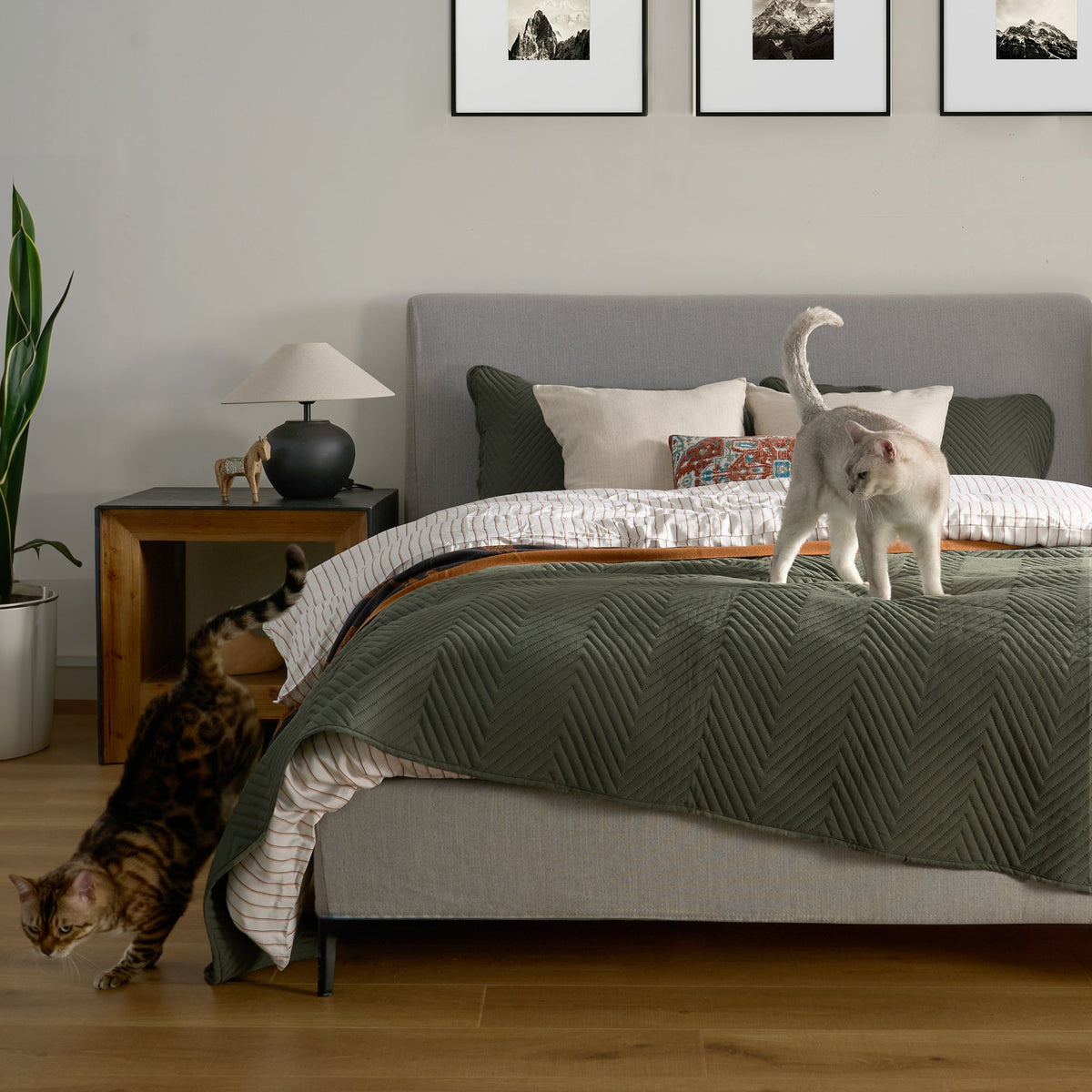 ShedShield Quilt Set - Pet Hair Repellent for Dogs/Cats Family