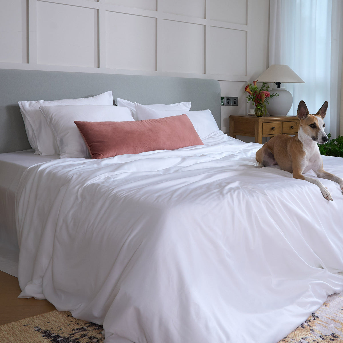 ShedShield Bamboo Fitted Sheet - Pet Hair Repellent for Dogs/Cats Family