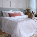 ShedShield Bamboo Fitted Sheet - Pet Hair Repellent for Dogs/Cats Family