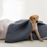 ShedShield Quilt Set - Pet Hair Repellent for Dogs/Cats Family