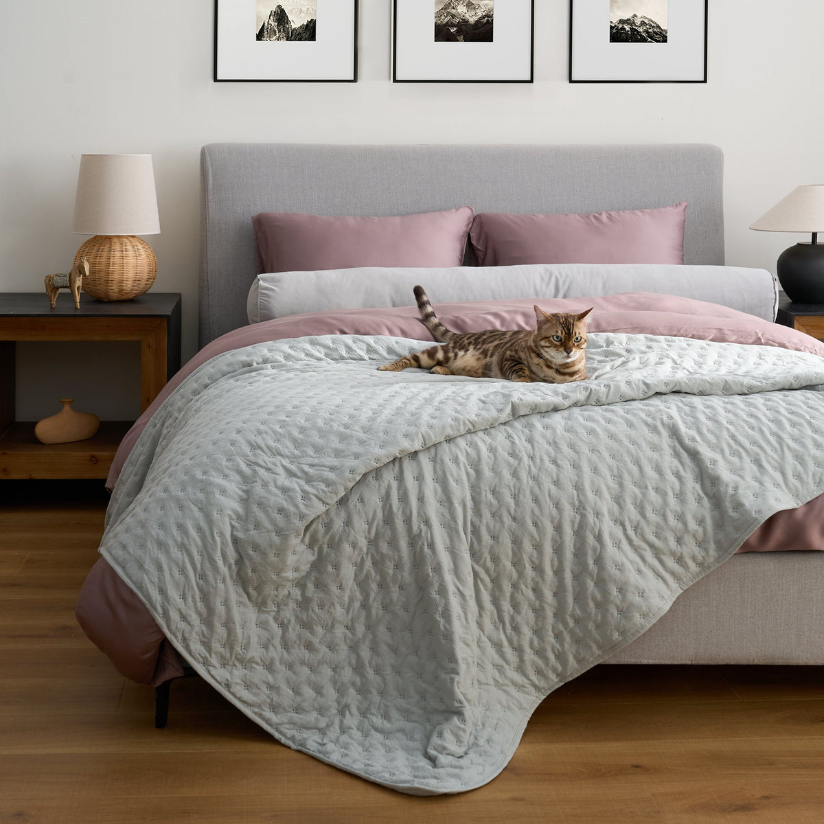 ShedShield Quilt Set - Pet Hair Repellent for Dogs/Cats Family