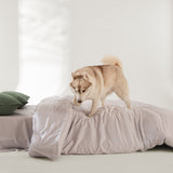 ShedShield Quilt Set - Pet Hair Repellent for Dogs/Cats Family