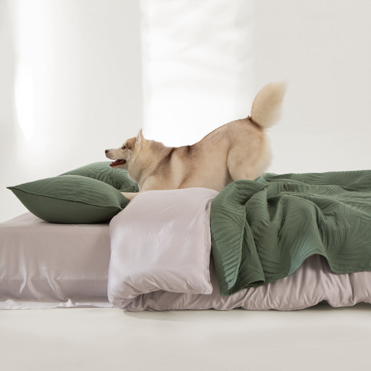 ShedShield Quilt Set - Pet Hair Repellent for Dogs/Cats Family