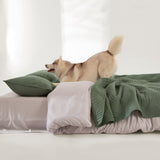 ShedShield Quilt Set - Pet Hair Repellent for Dogs/Cats Family