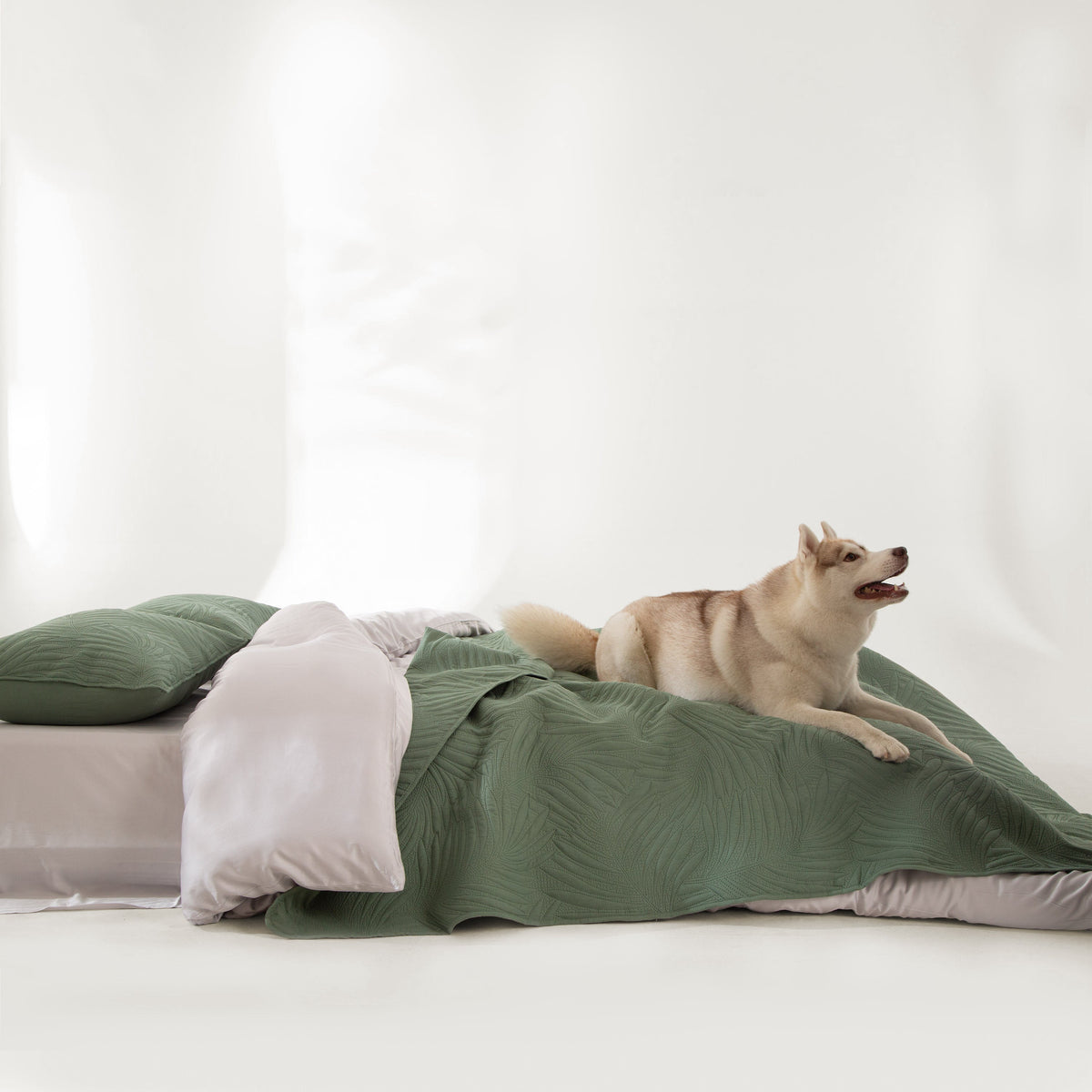 ShedShield Quilt Set - Pet Hair Repellent for Dogs/Cats Family