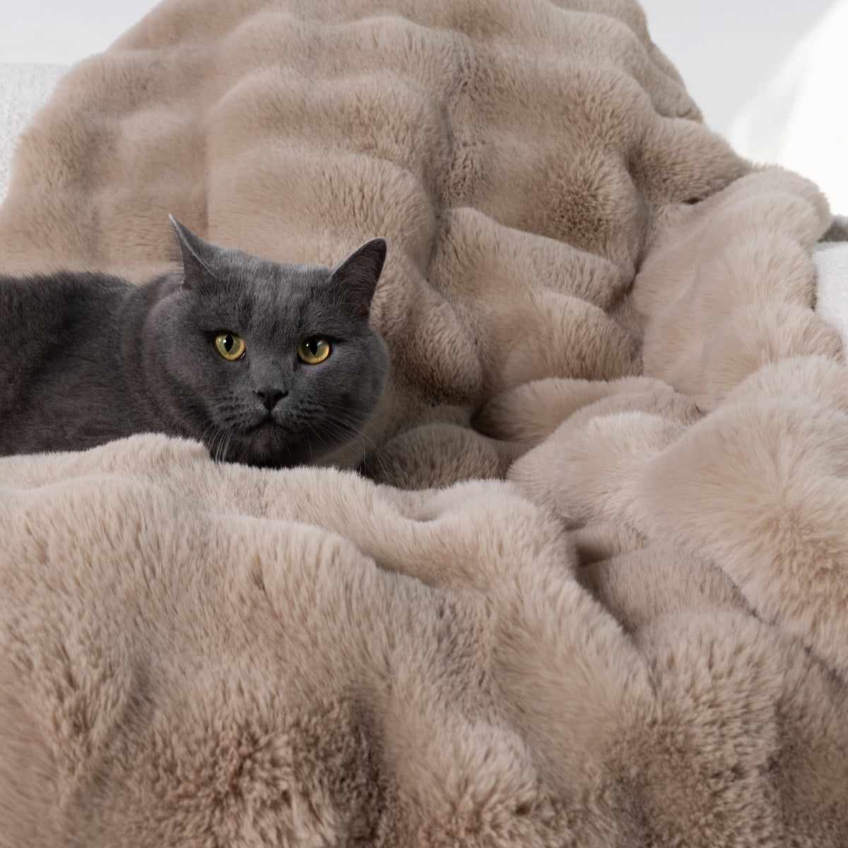 CloudFur Throw Blanket - Plush Faux Fur Sofa & Bed Throw