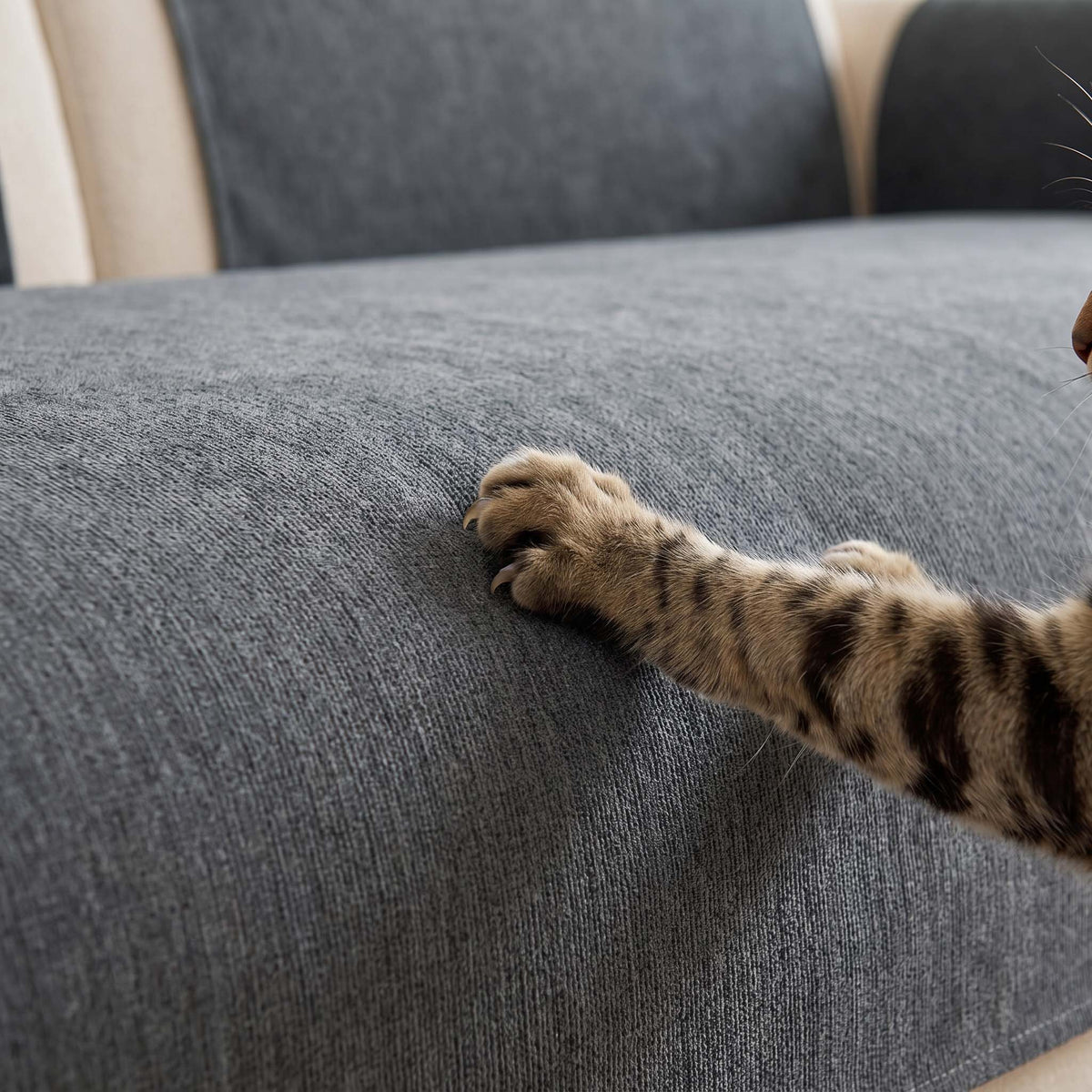 CleanEasy Sofa Cover - Non-Slip Chenille Couch Protector