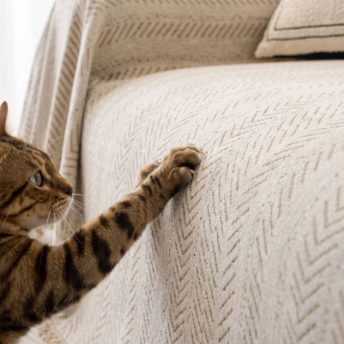 Anti-Scratch Washable Sofa Cover