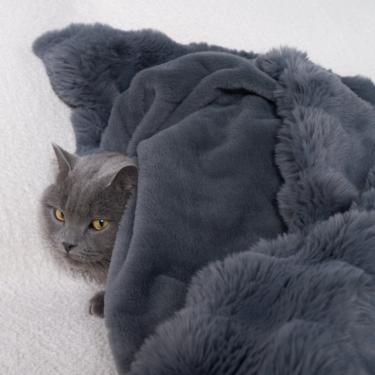 CloudFur Throw Blanket - Plush Faux Fur Sofa & Bed Throw