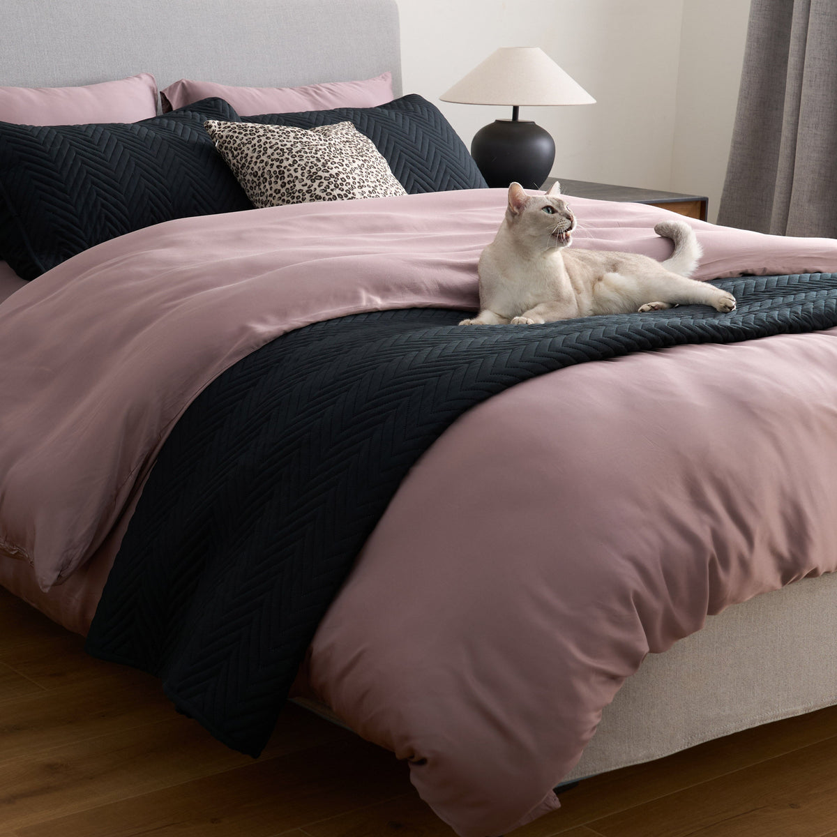 ShedShield Quilt Set - Pet Hair Repellent for Dogs/Cats Family