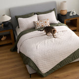ShedShield Quilt Set - Pet Hair Repellent for Dogs/Cats Family