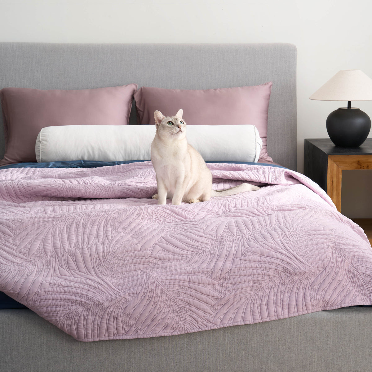 ShedShield Quilt Set - Pet Hair Repellent for Dogs/Cats Family