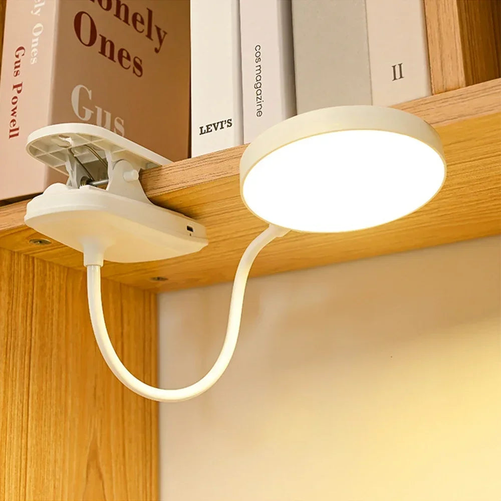 Clamp-On LED Study Lamp