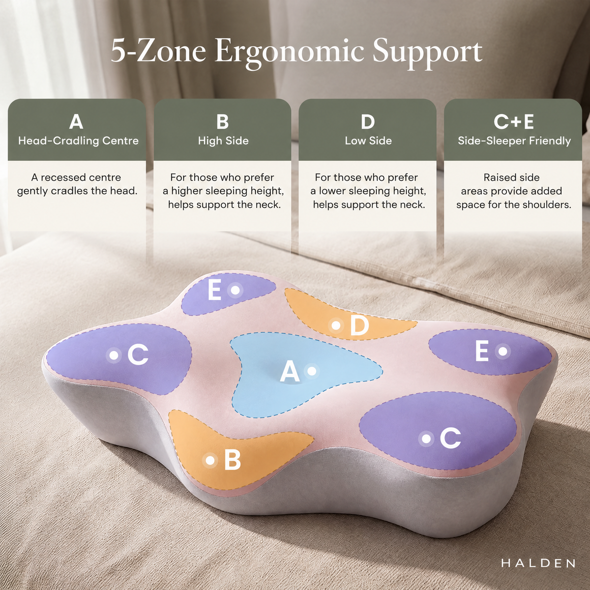 Five zones, one considered shape