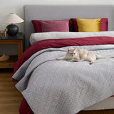 ShedShield Quilt Set - Pet Hair Repellent for Dogs/Cats Family