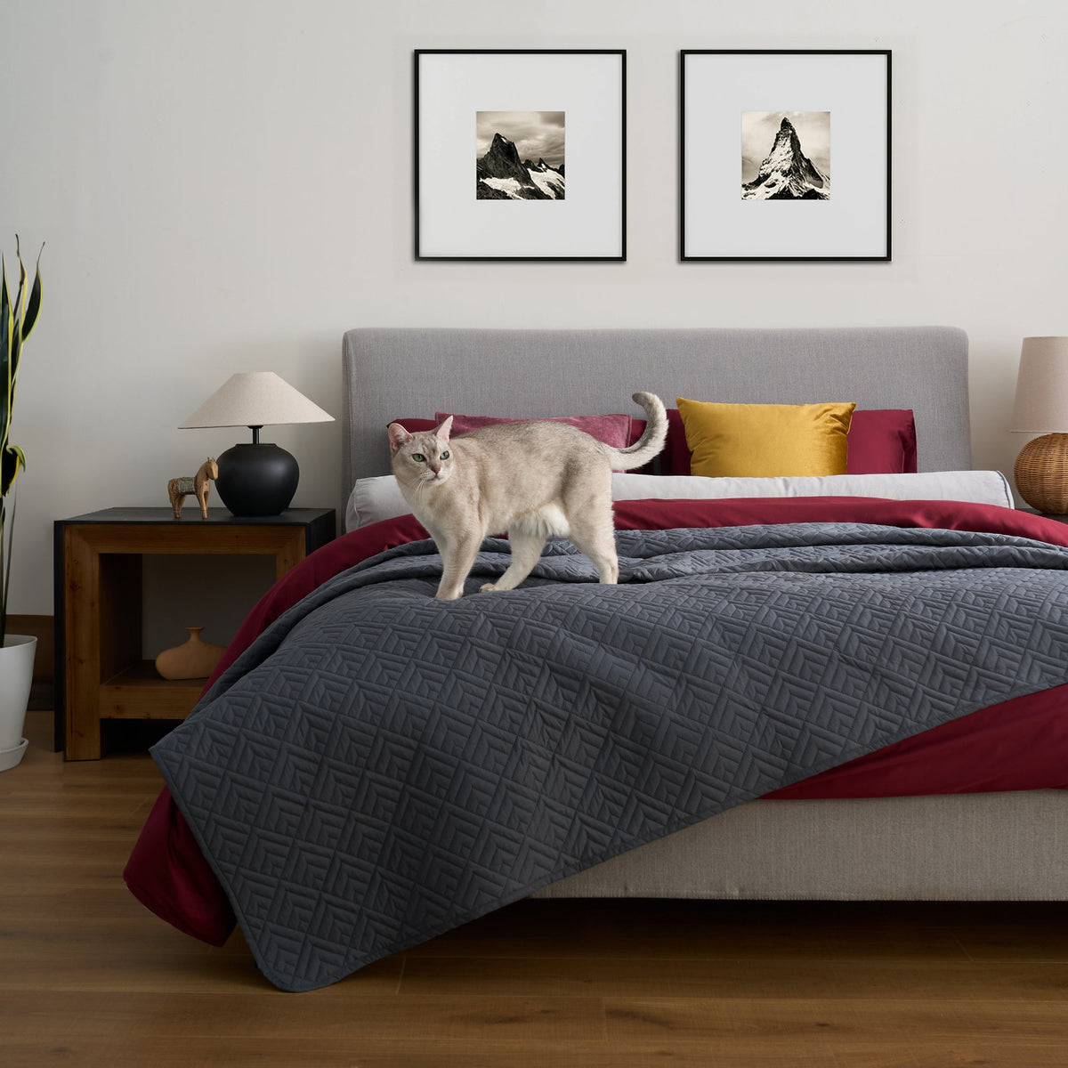 ShedShield Quilt Set - Pet Hair Repellent for Dogs/Cats Family