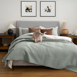 ShedShield Quilt Set - Pet Hair Repellent for Dogs/Cats Family