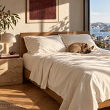 ShedShield Sheet Set in Oatmeal white with French bulldog on bed