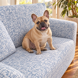 CoolCover Sofa Slipcover in Ocean Frost with French bulldog