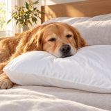 ShedShield Bamboo Pillowcase in Charming white in use
