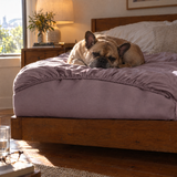 ShedShield Bamboo Fitted Sheet in Lilac purple – bedroom