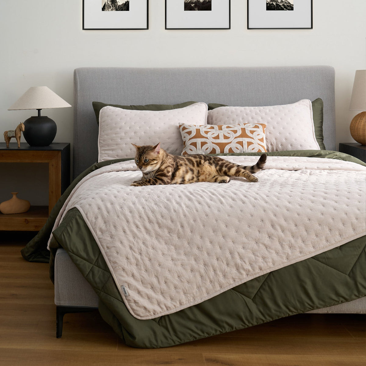 ShedShield Quilt Set - Pet Hair Repellent for Dogs/Cats Family